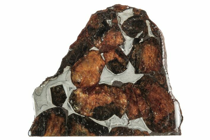 Sericho Pallasite Meteorite ( g) Slice - Kenya #346447